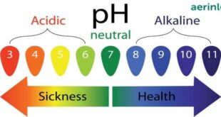 How To Get Your pH Balance Back To Normal?