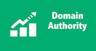 What is the meaning of domain authority?